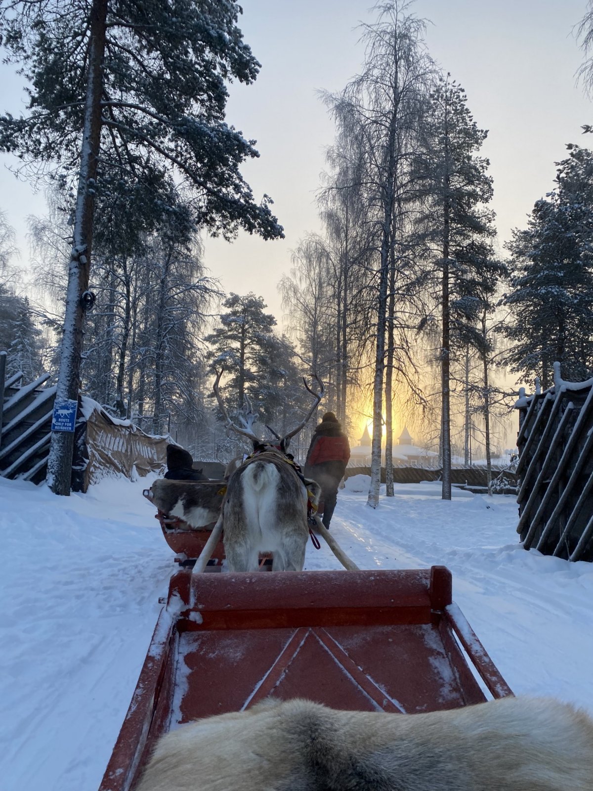 Santa Claus Reindeer