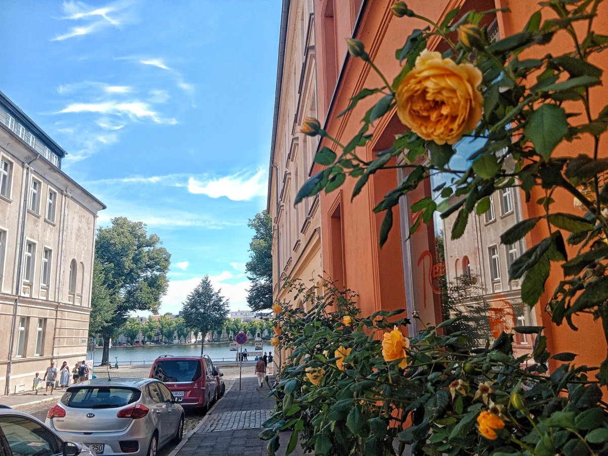 Schwerin (Zvěřín)