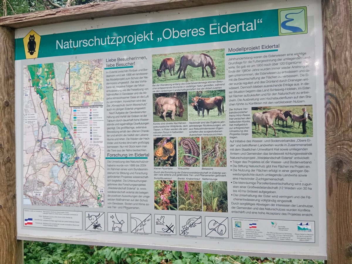 Potom vlakem ke Kielu do ,,Oberes Eidertal" chráněné oblasti , hledat řeku Eidertal a nouzové legální nocoviště