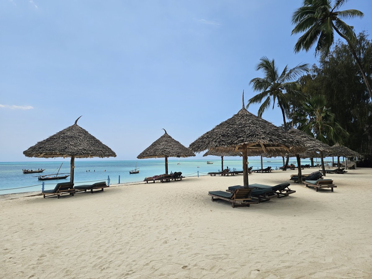 Lehátka a slunečníky