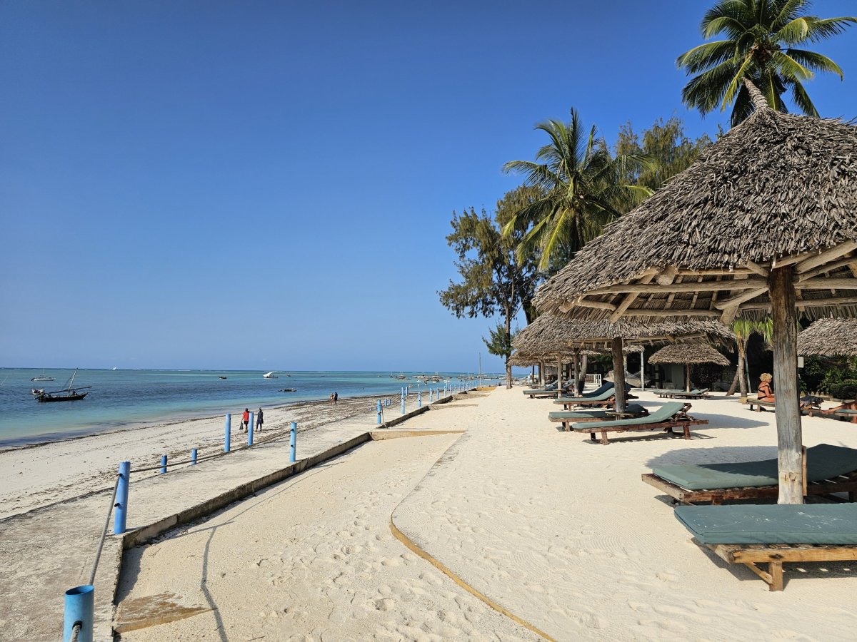 Lehátka a slunečníky