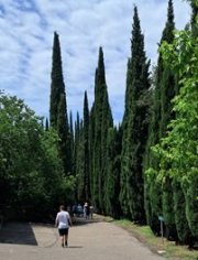 Flora v botanické zahradě