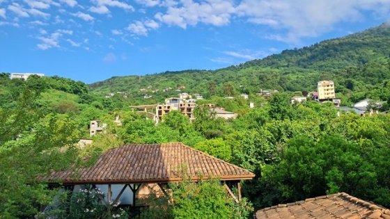 Pohled z okna hotelu směrem k horám, vidíte tu bujnou zelenou vegetaci