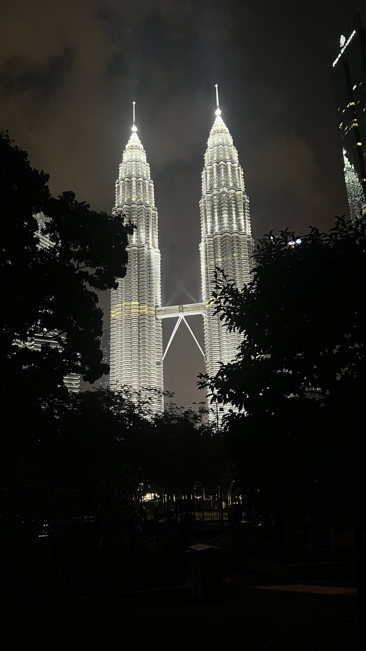 Petronas z KLCC parku