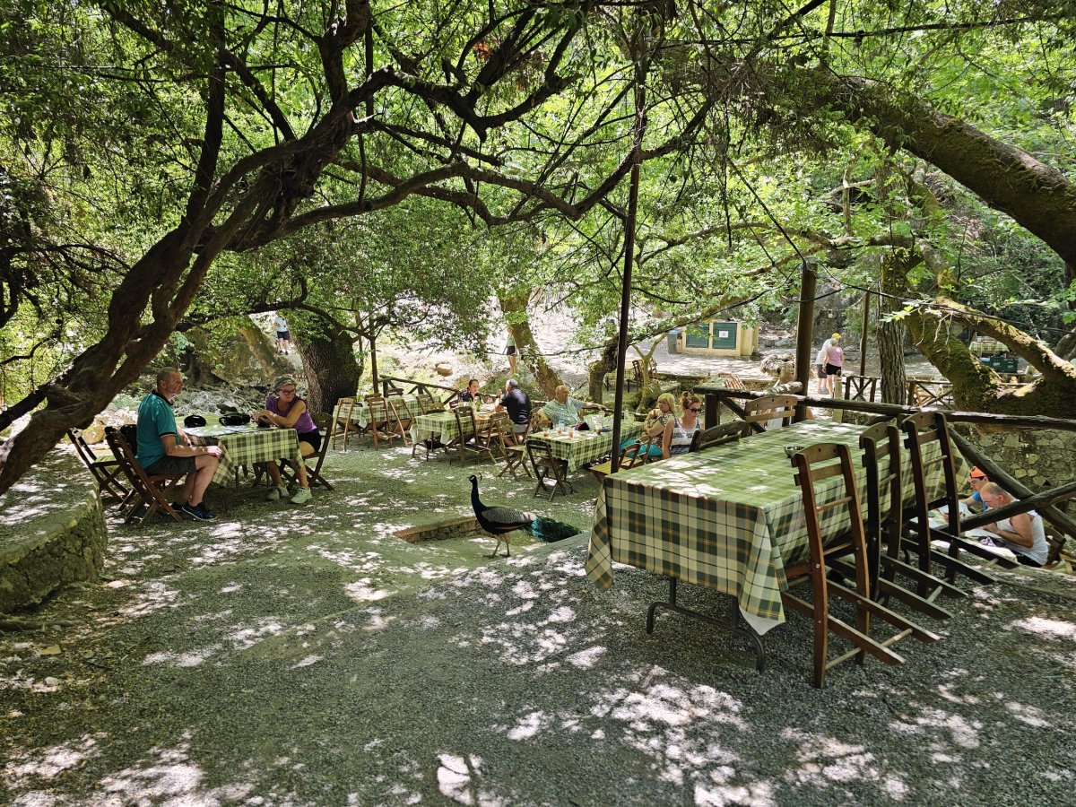 Restaurace u Sedmi pramenů