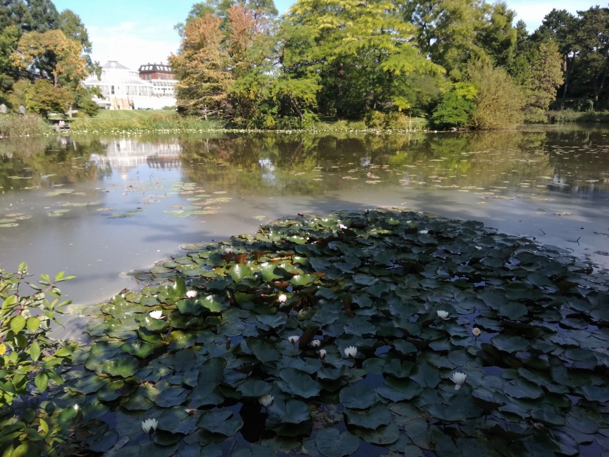 Zeleň kam se podíváš.
