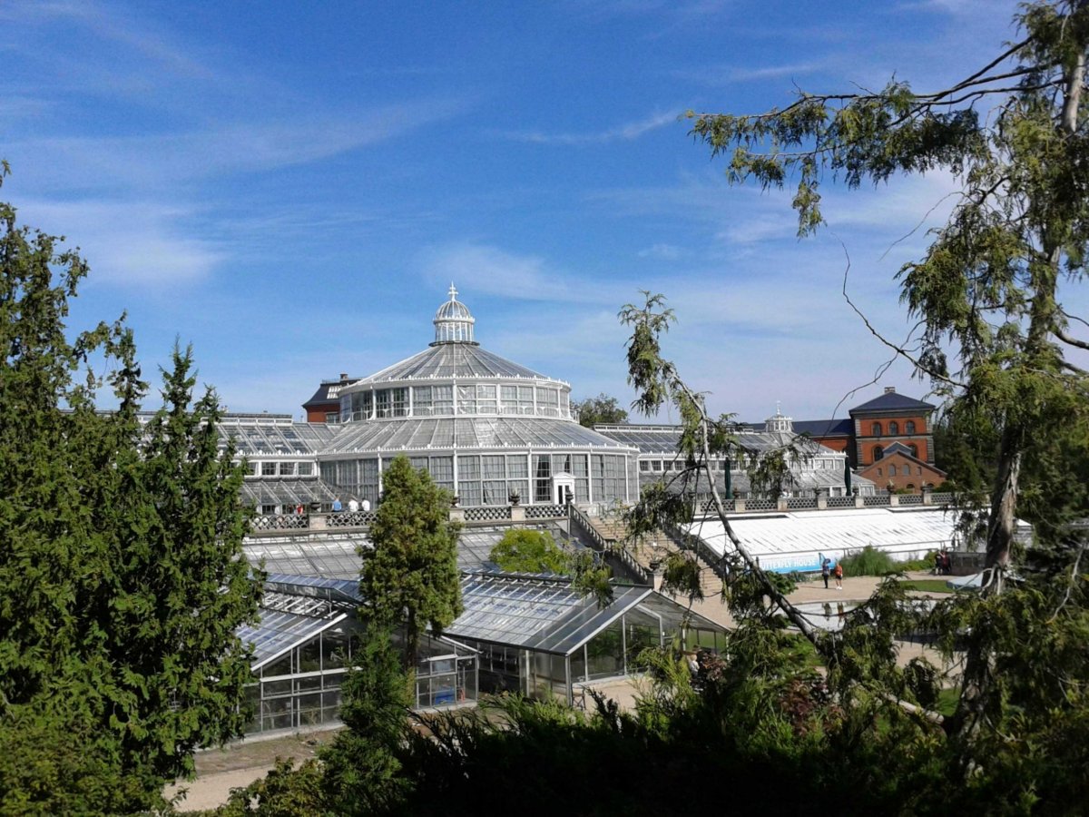 Palmehuset, pro nás jednoduše Skleník.