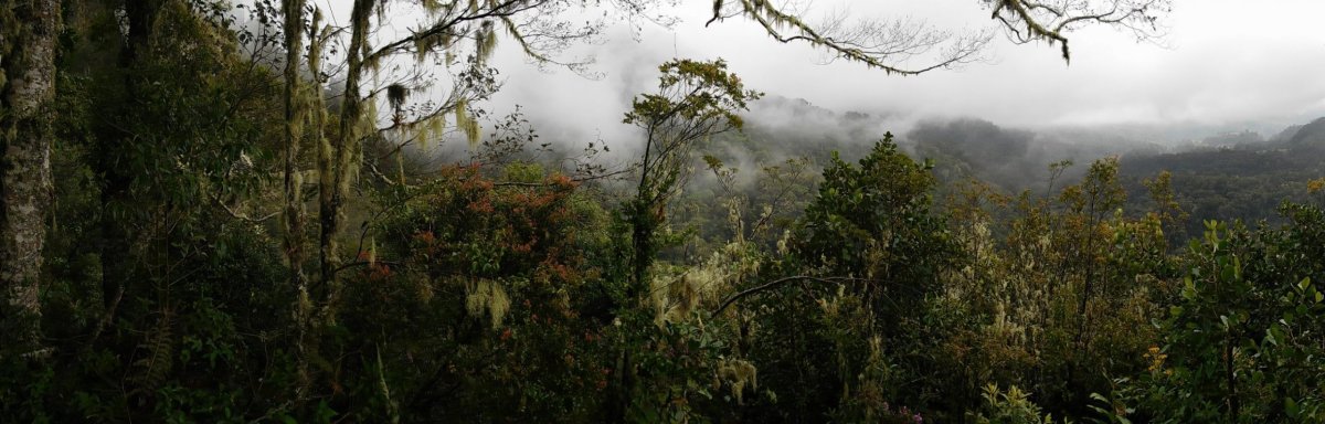 Stezka El Sendero los Quetzales