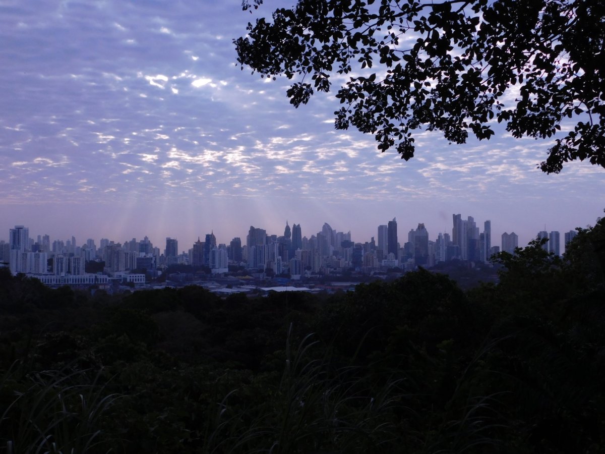 Pohled na město za úsvitu