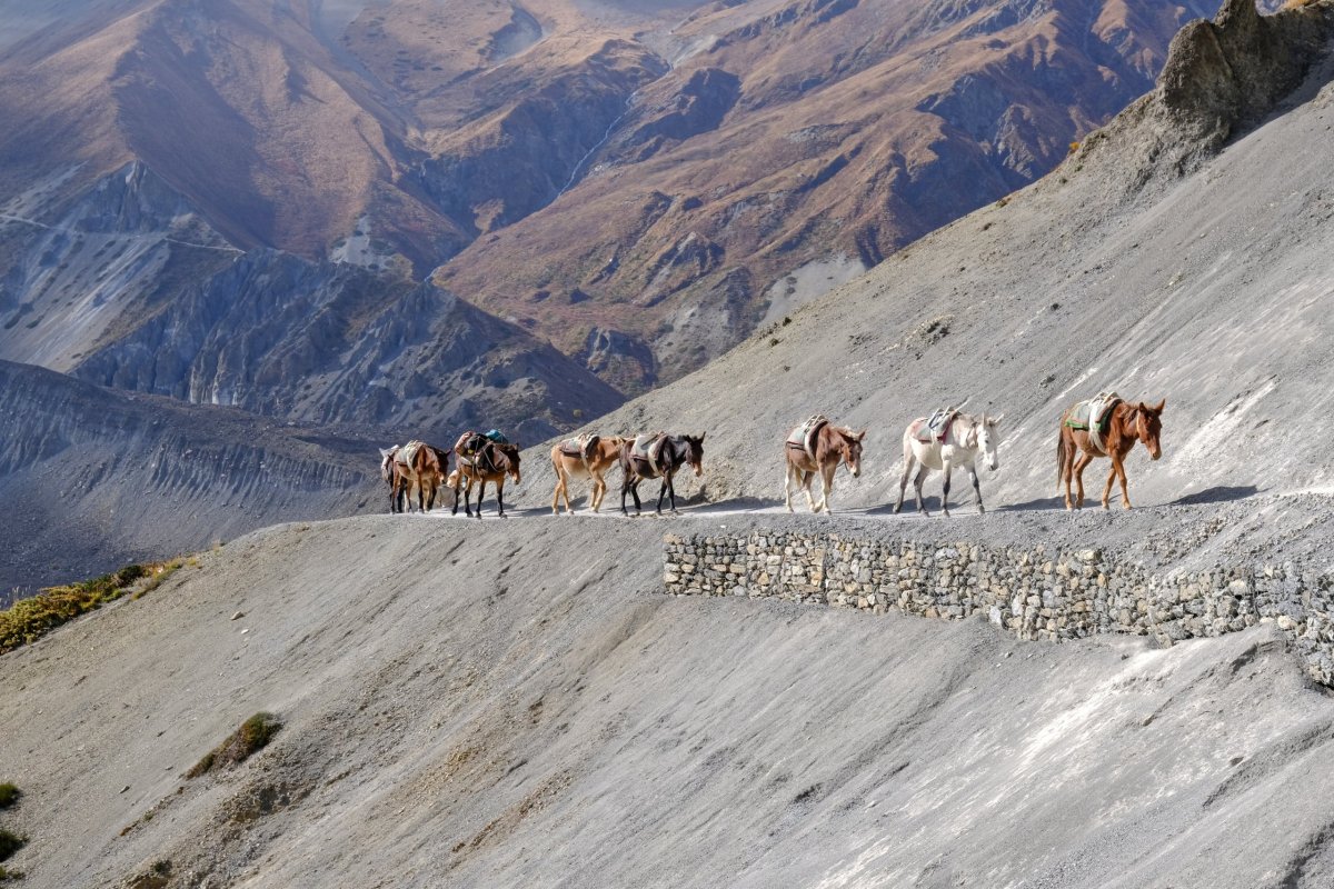 Cesta k Tilicho basecamp