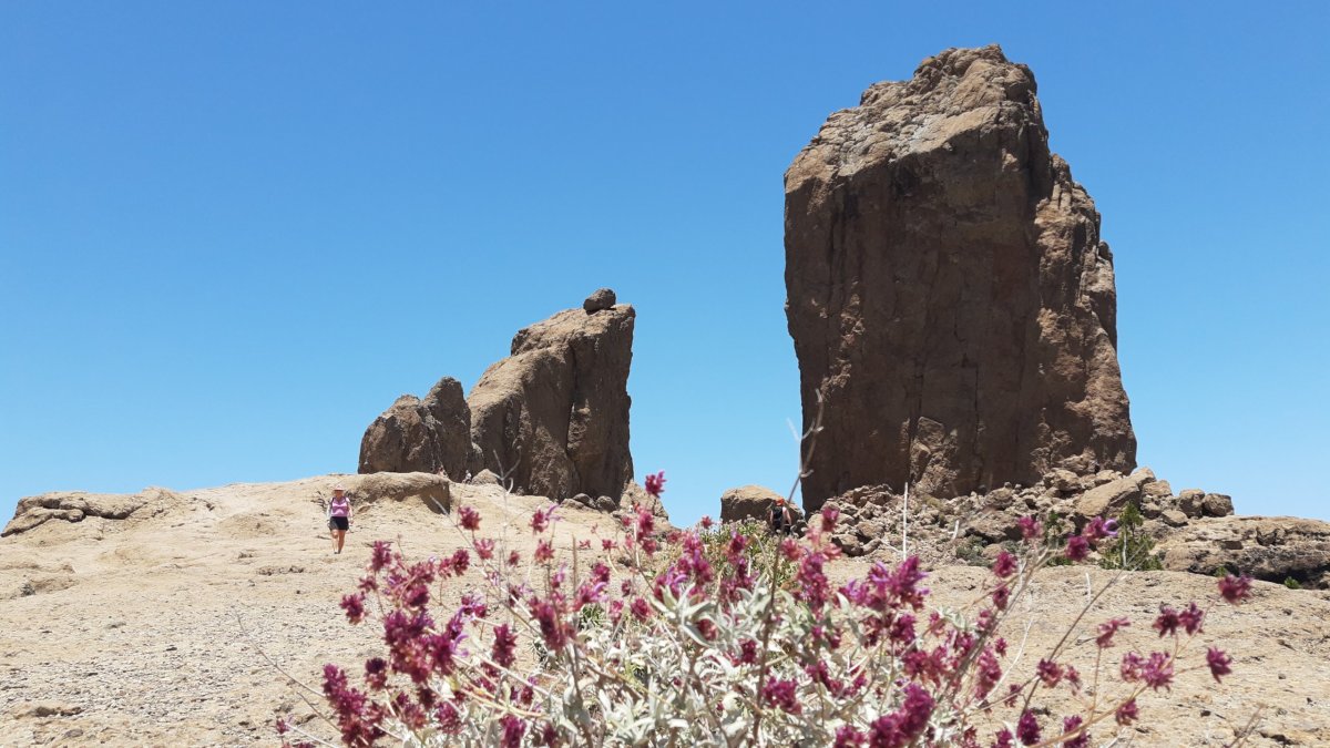 Roque Nublo zblízka 