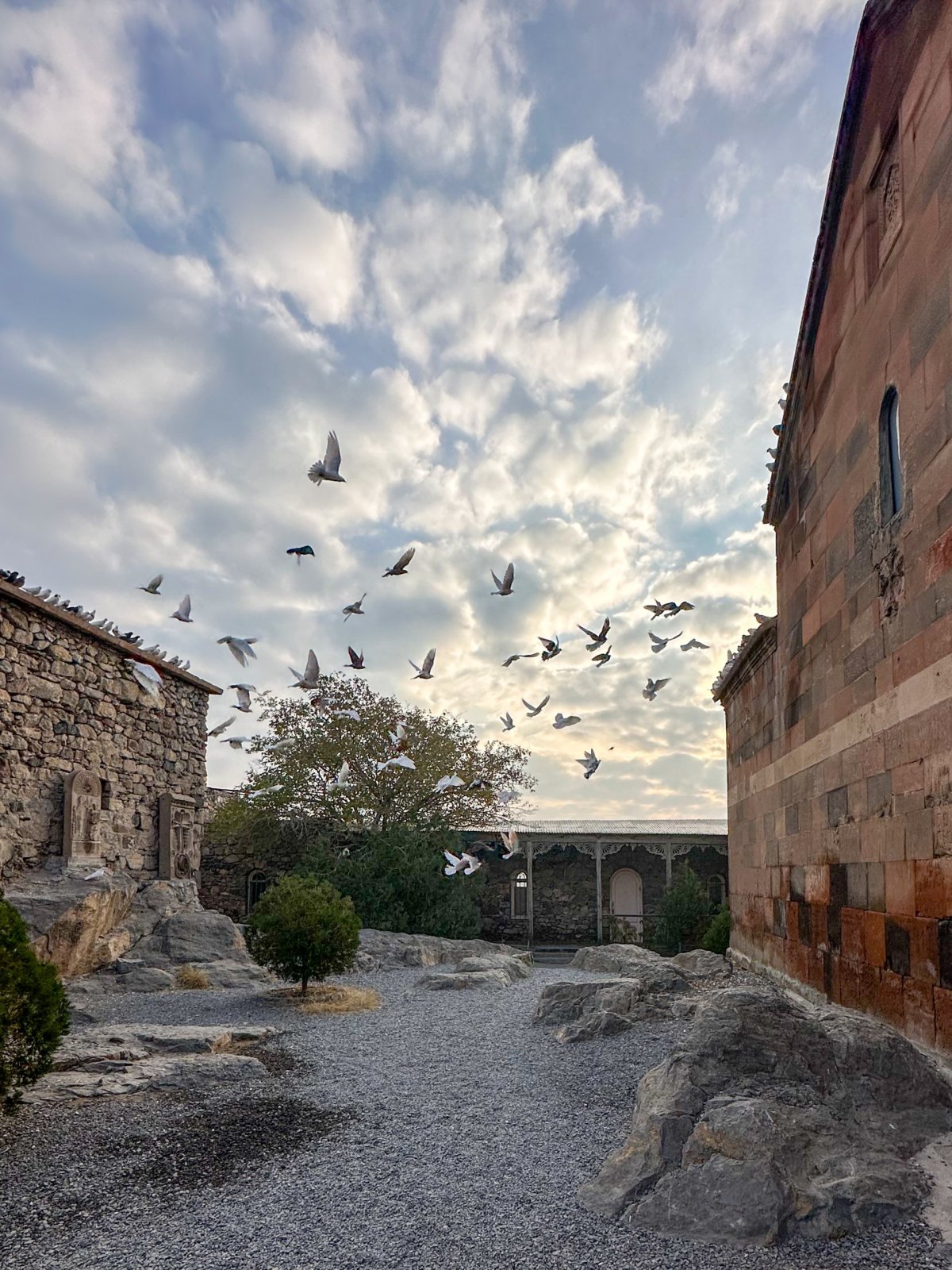 Holuby na hoře Khor Virap sloužící jako turistická zábava