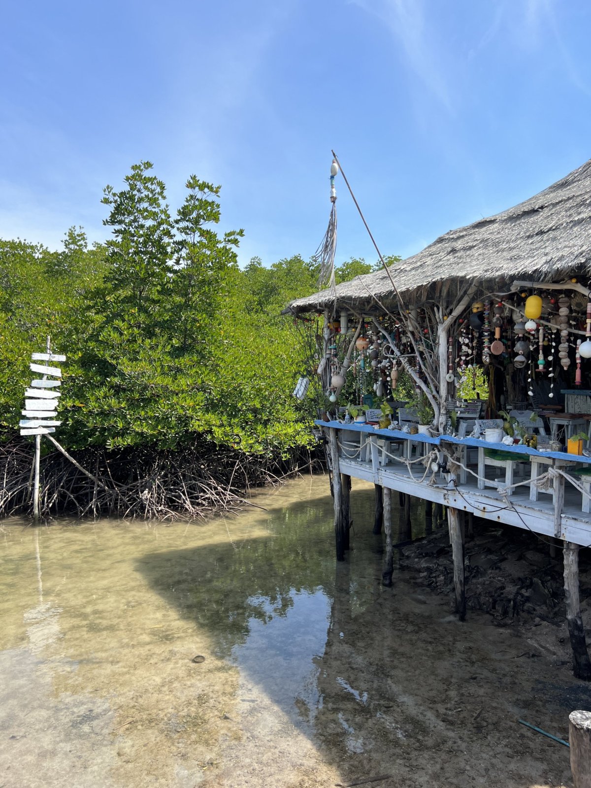 Vesnička obklopená mangrovy