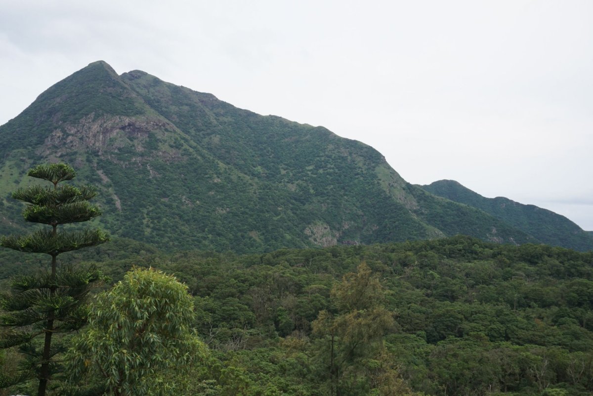 Lantau peak