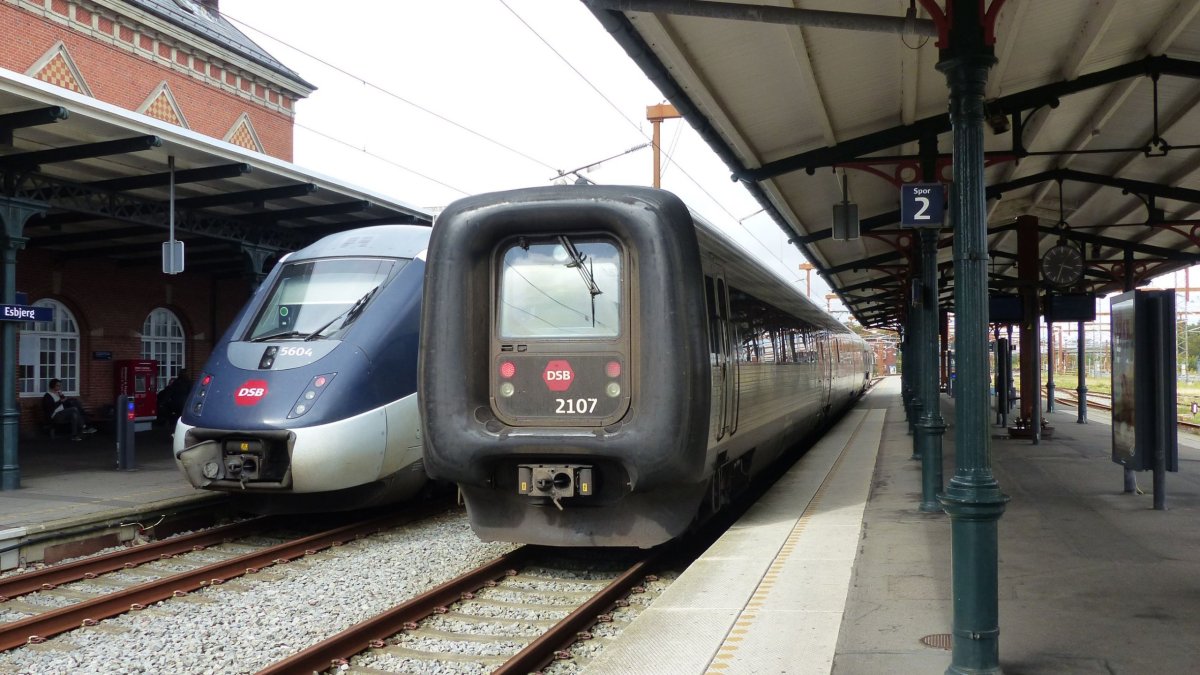 Eh? Pes po operaci, housenka či vlak?