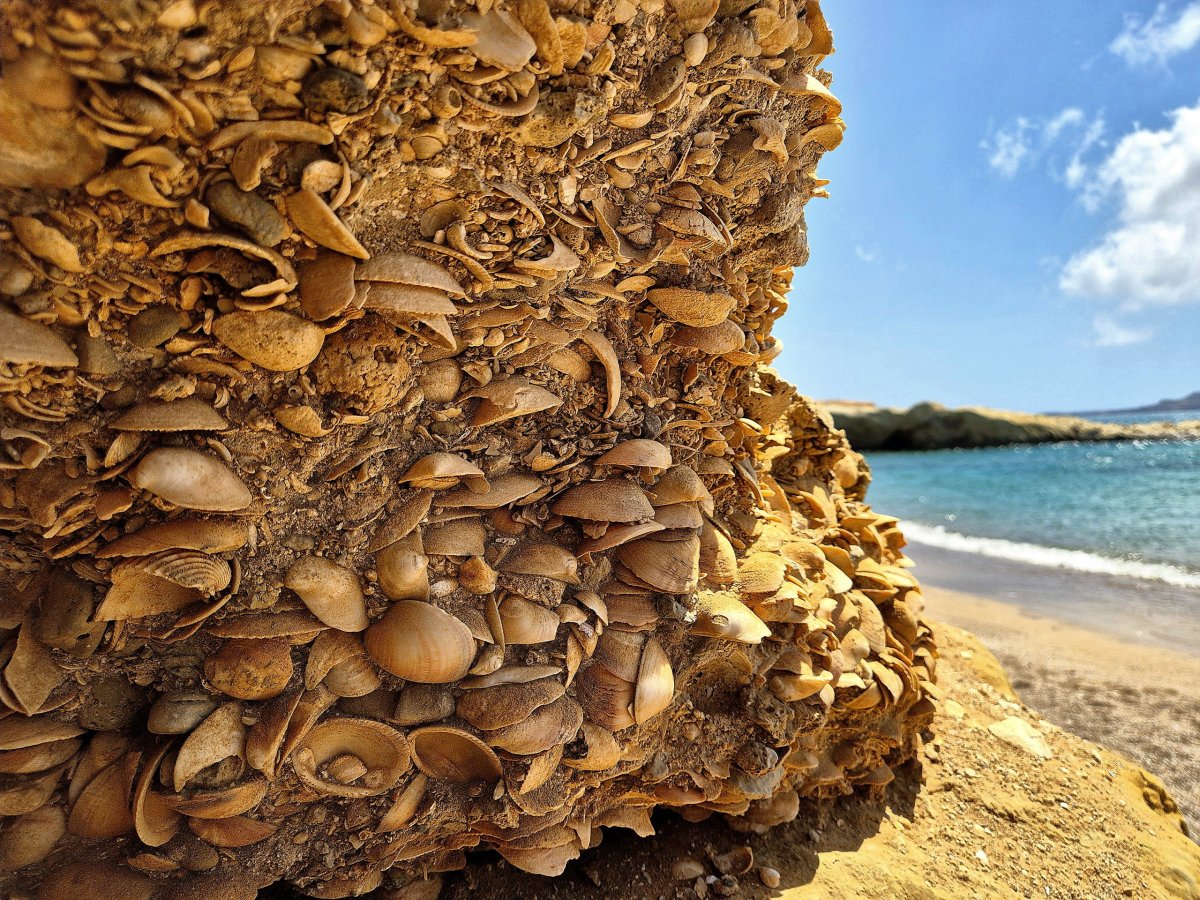 Mušličková jeskyně