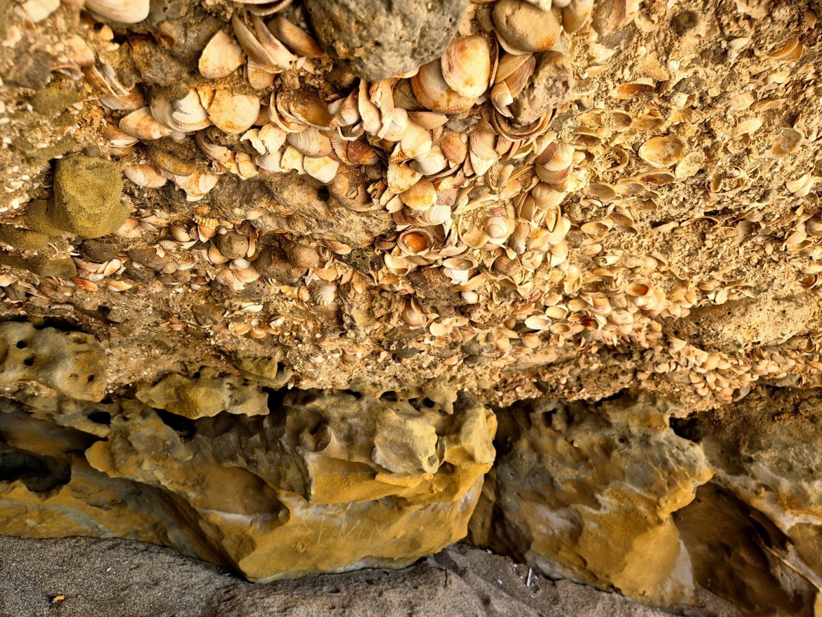 Mušličková jeskyně