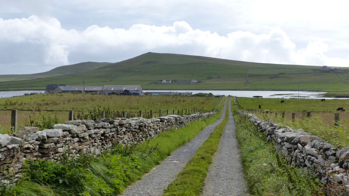 Typická krajina ostrova Westray