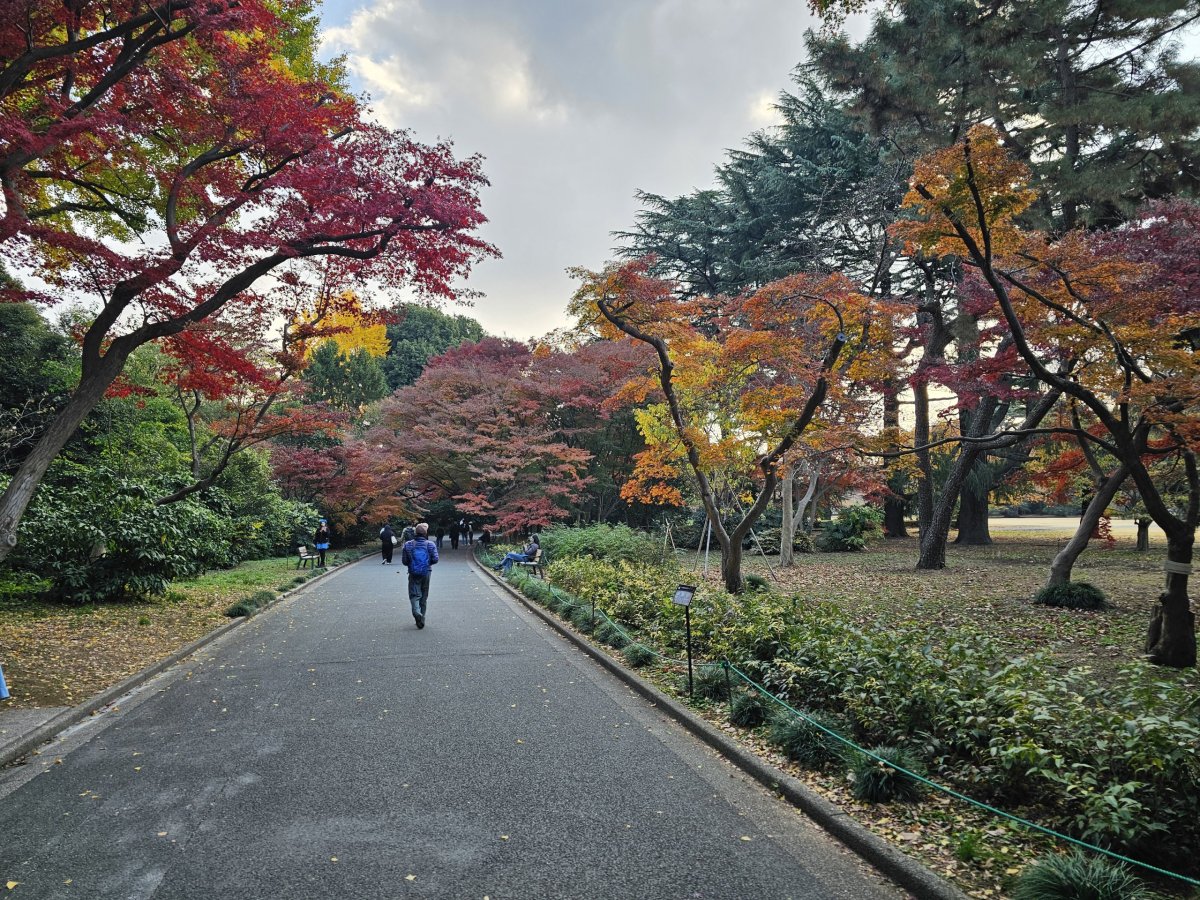 Shinjuku Gyoen National Garden