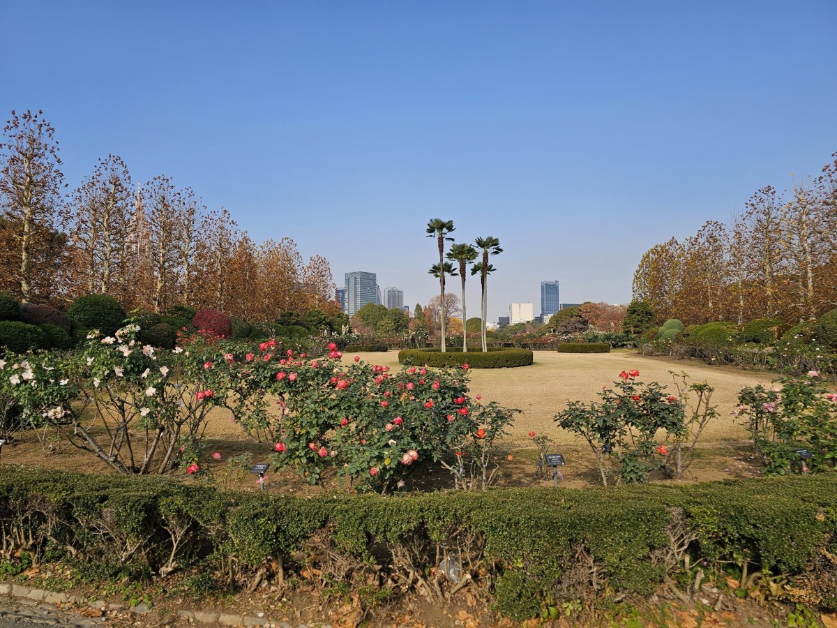 Shinjuku Gyoen National Garden