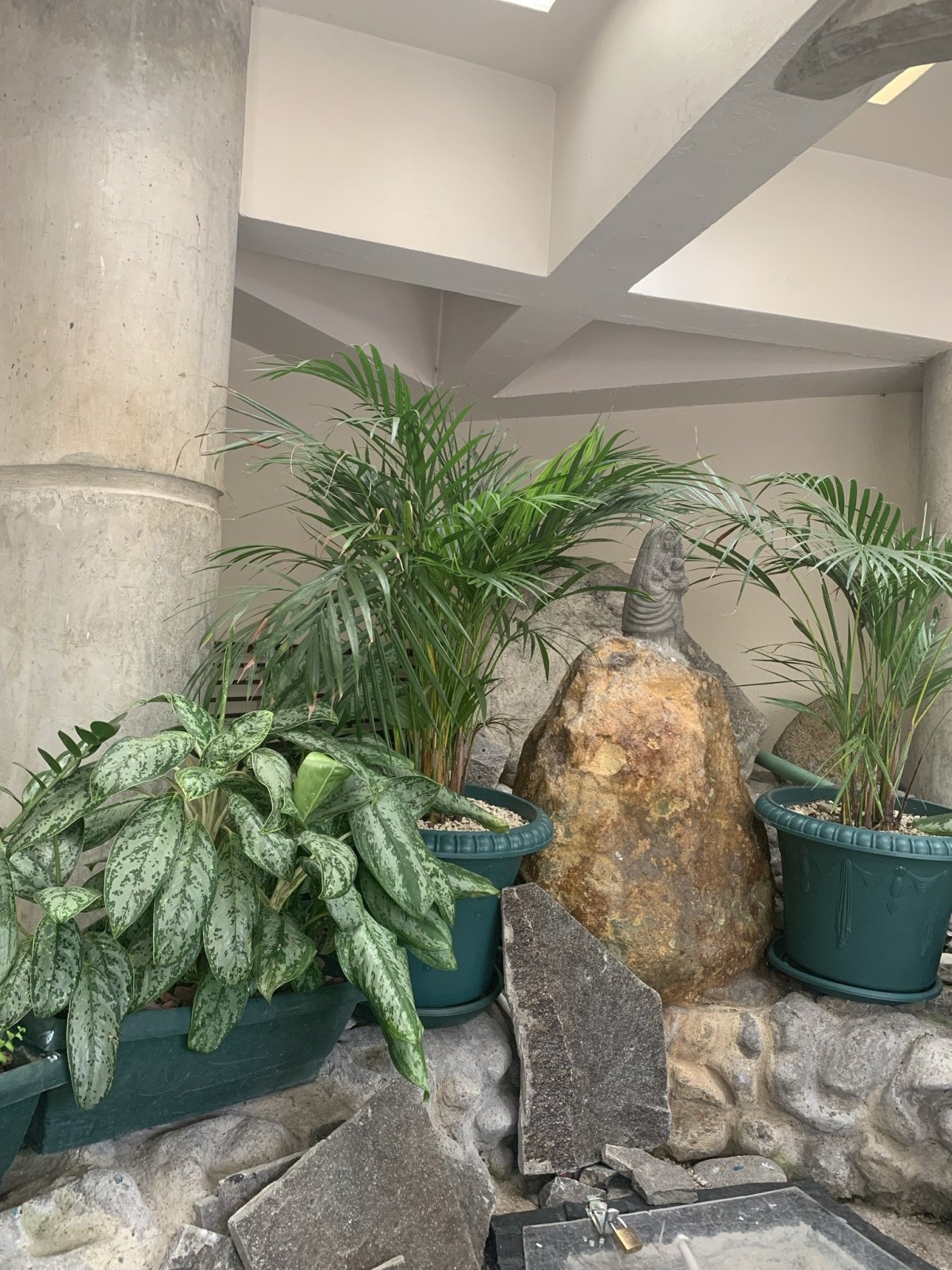 Pramen u Černé Madony