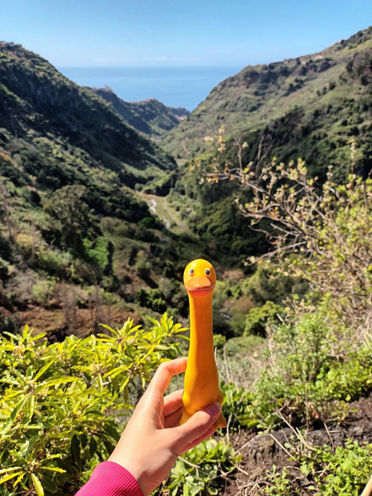 Chytám rudou barvu..