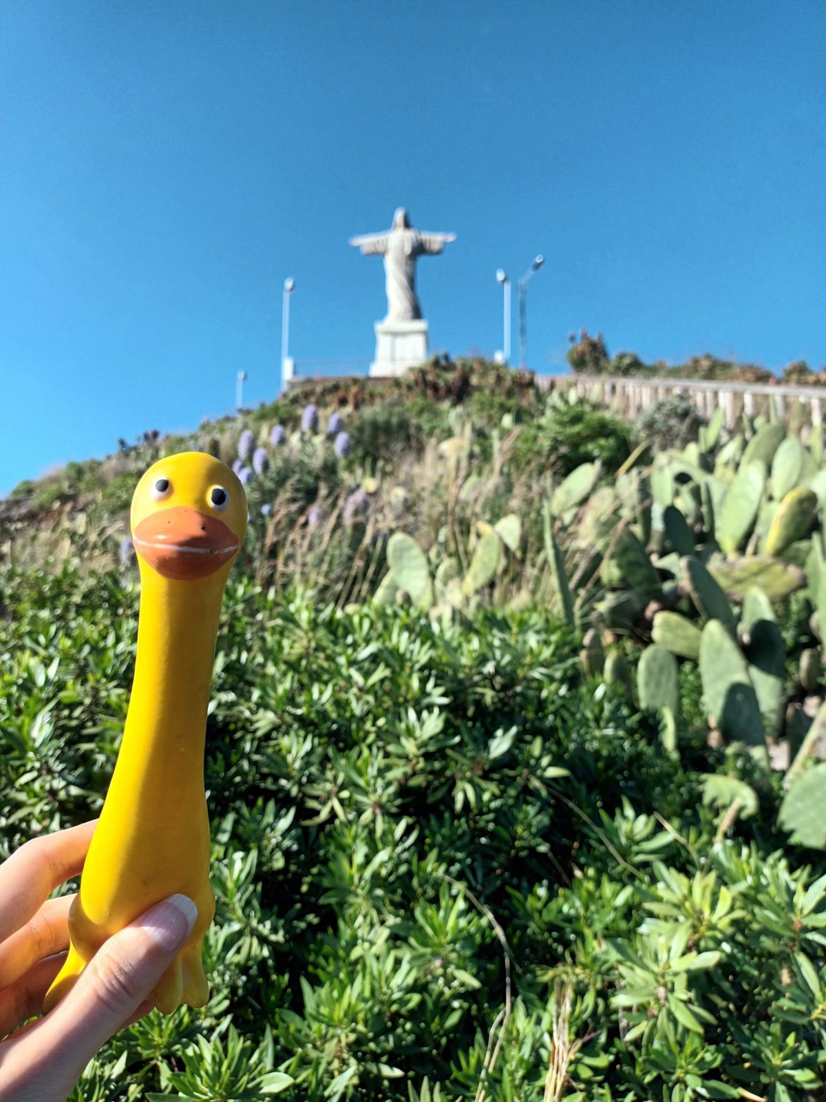 Socha Krista Garajau