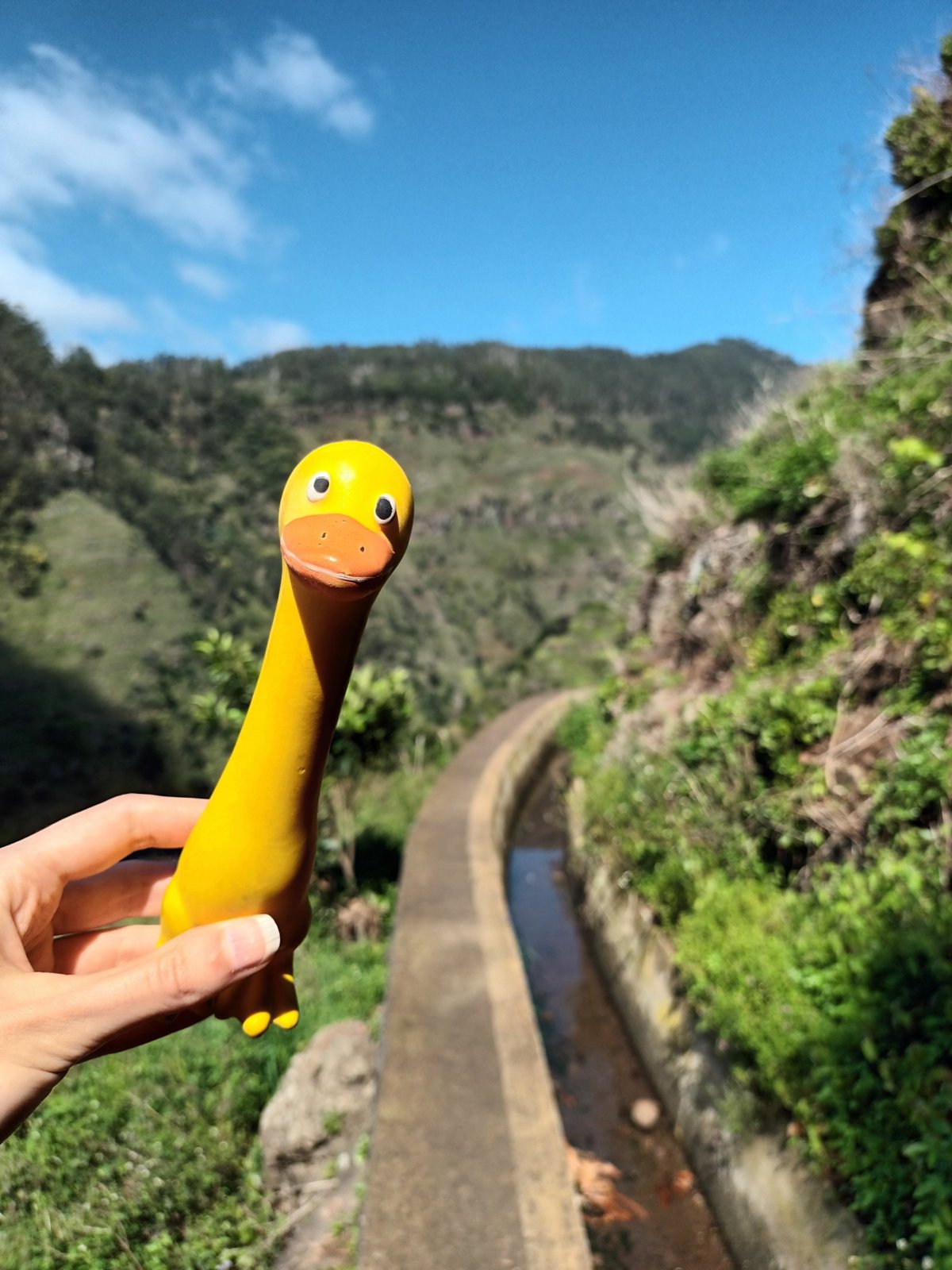 Leváda, stezka podél zavlažovacího kanálu