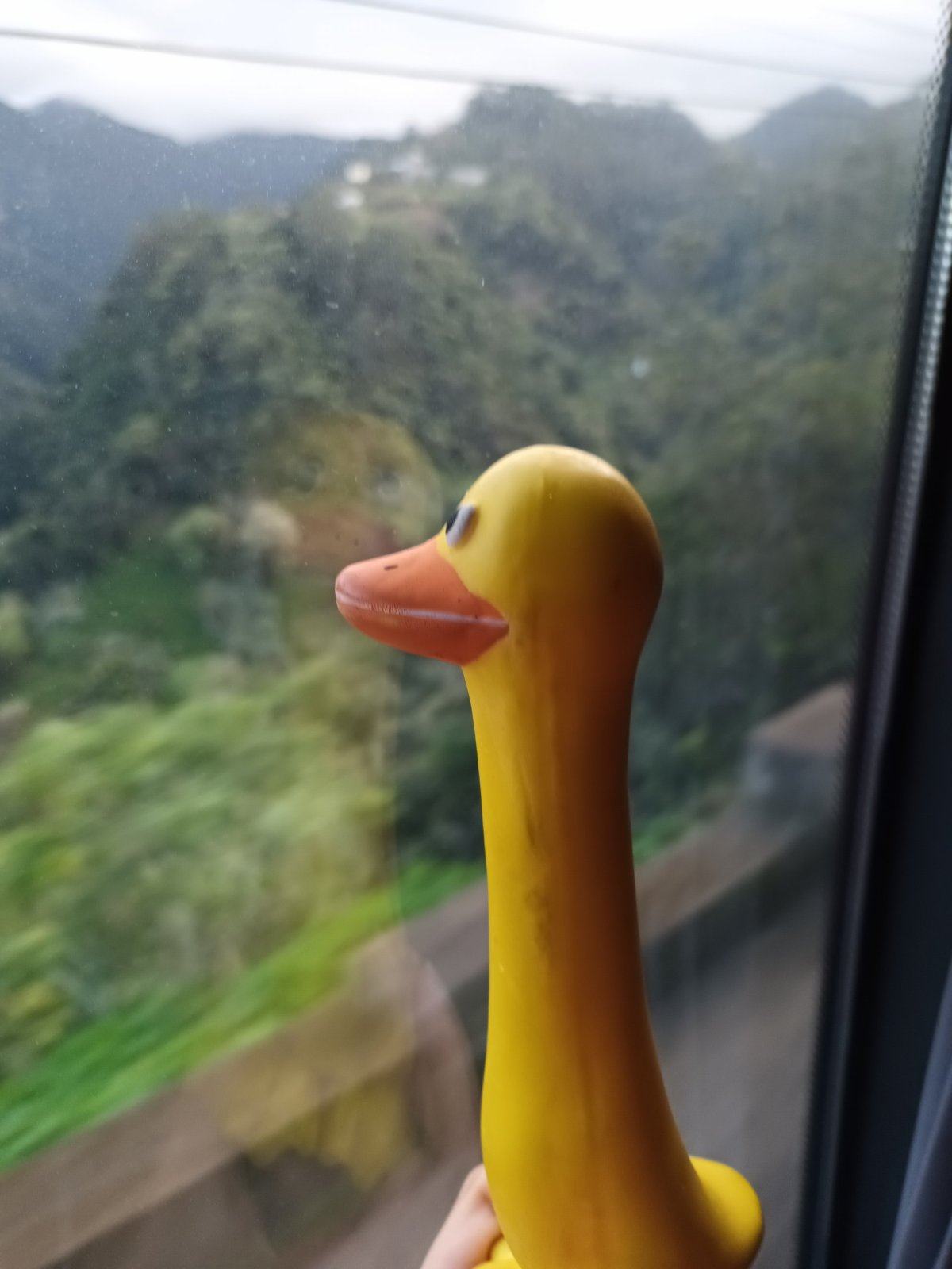 Malý "zelený" pasažér