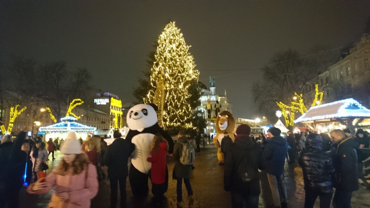 Panda a 1/4 stromu osvětelná