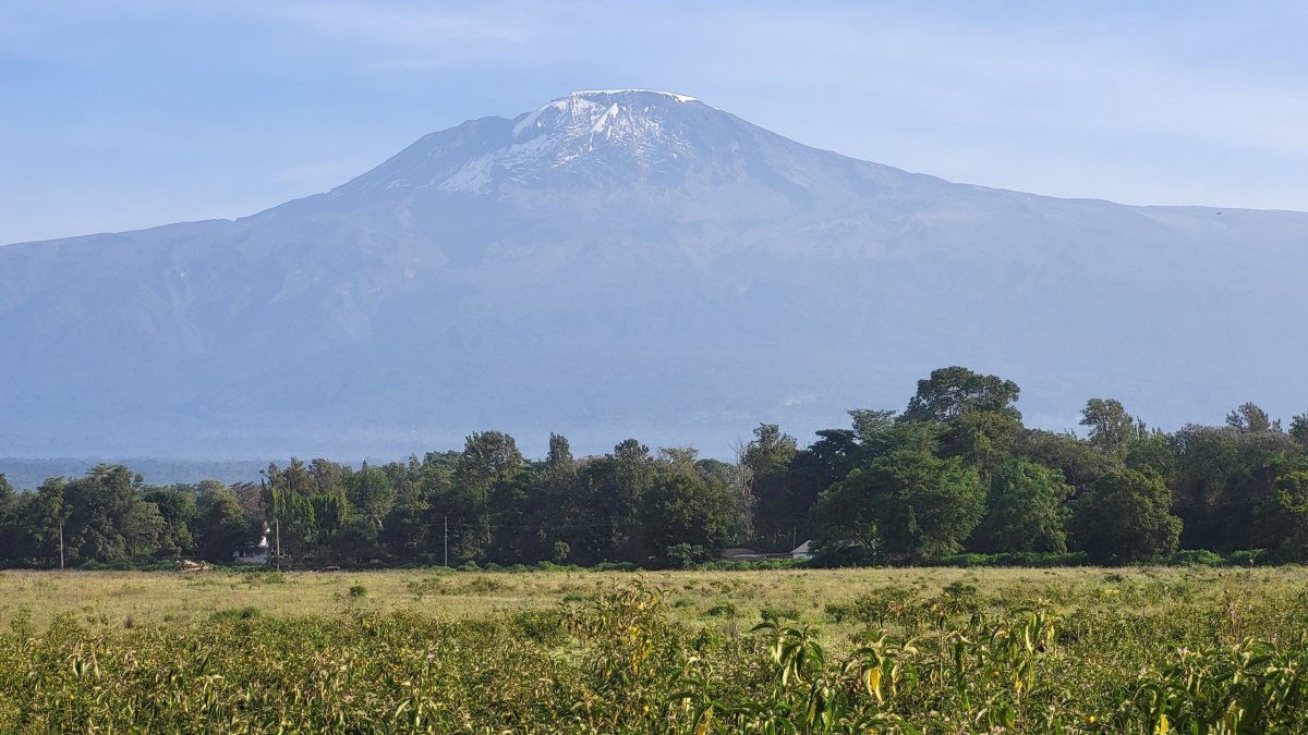 Kilimanjaro