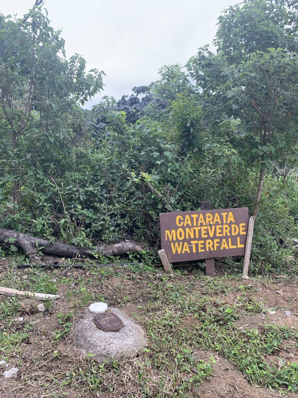 Monteverde Waterfall