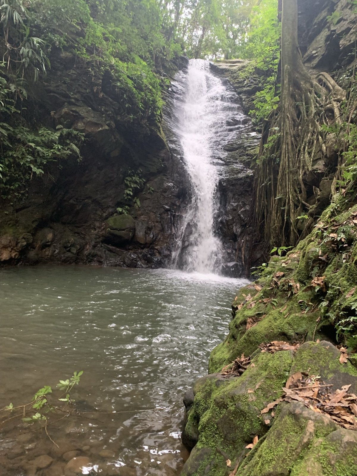 Monteverde Waterfall