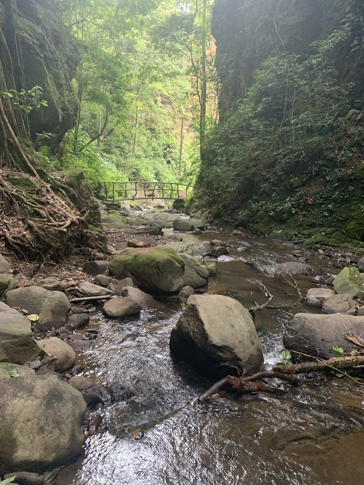 Monteverde Waterfall