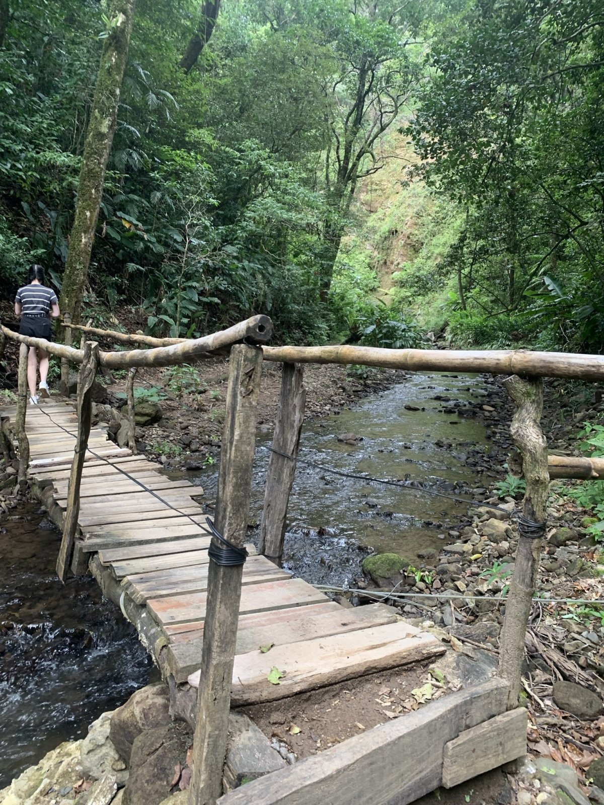 Monteverde Waterfall