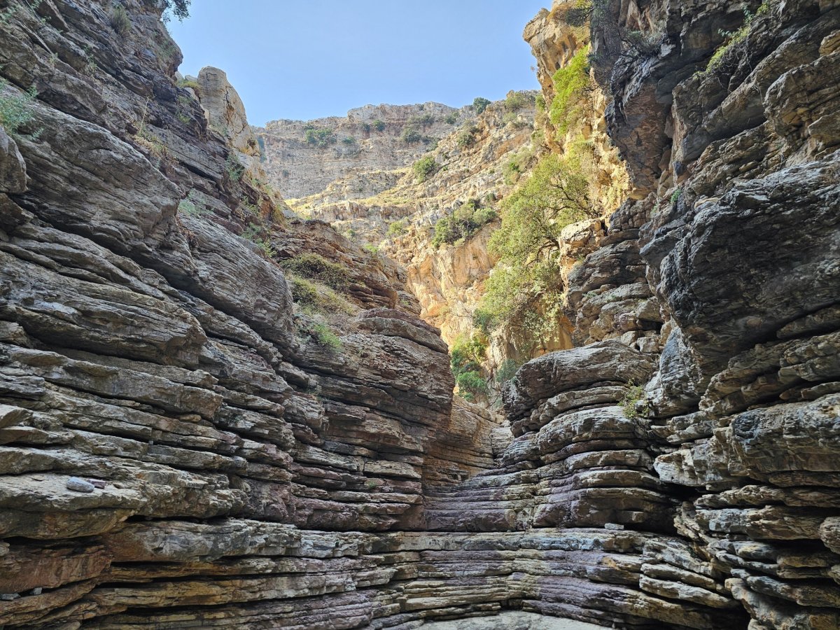 Jacob's Canyon
