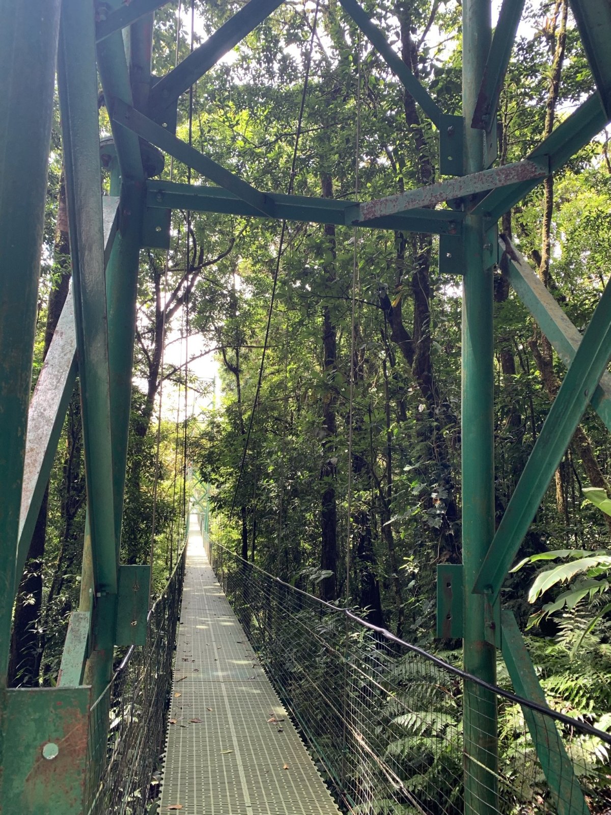 mosty v Monteverde