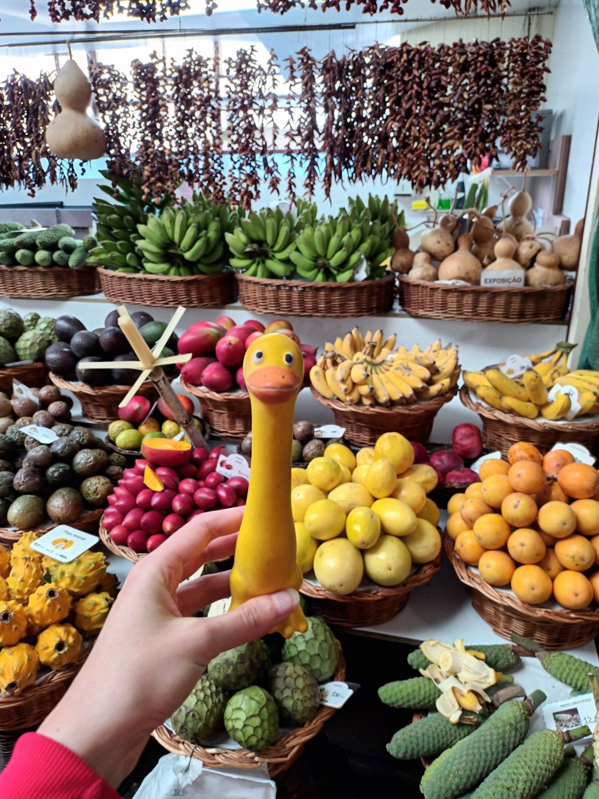 Záplava ovoce na tržišti Mercado