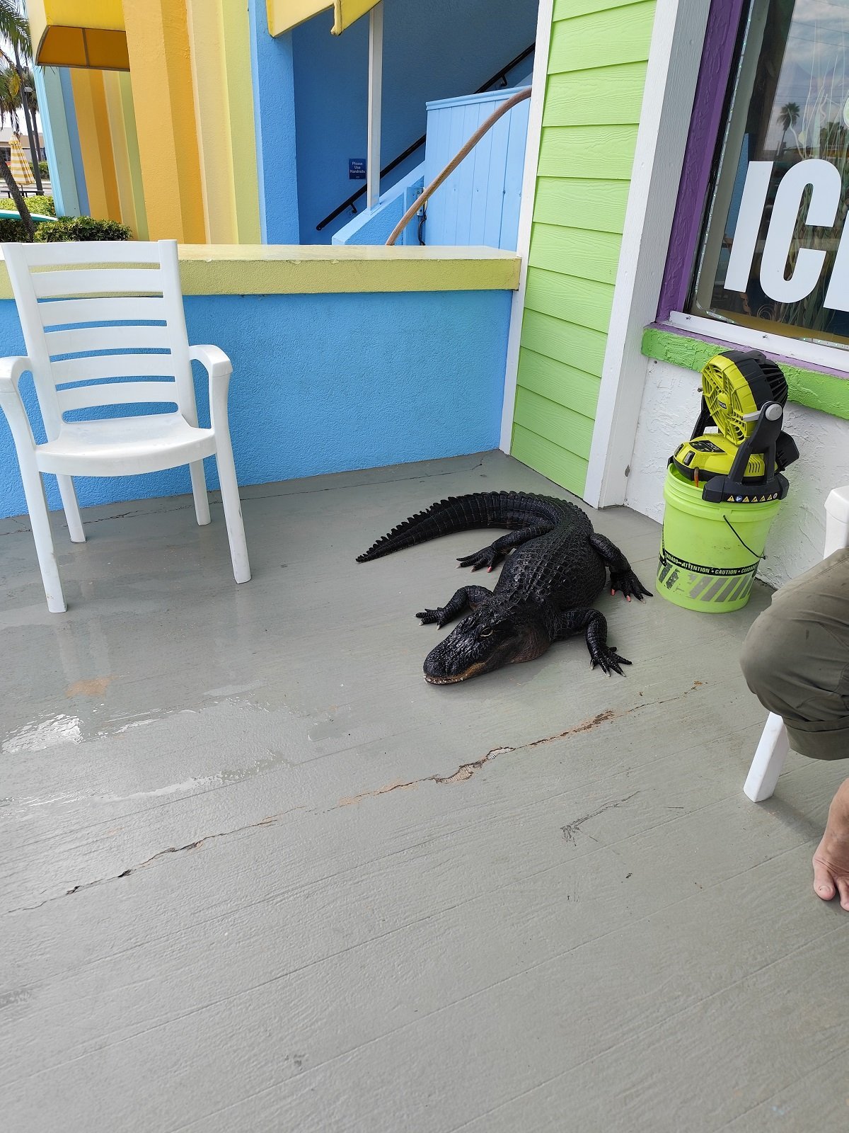 Stylová i s růžovými drápky