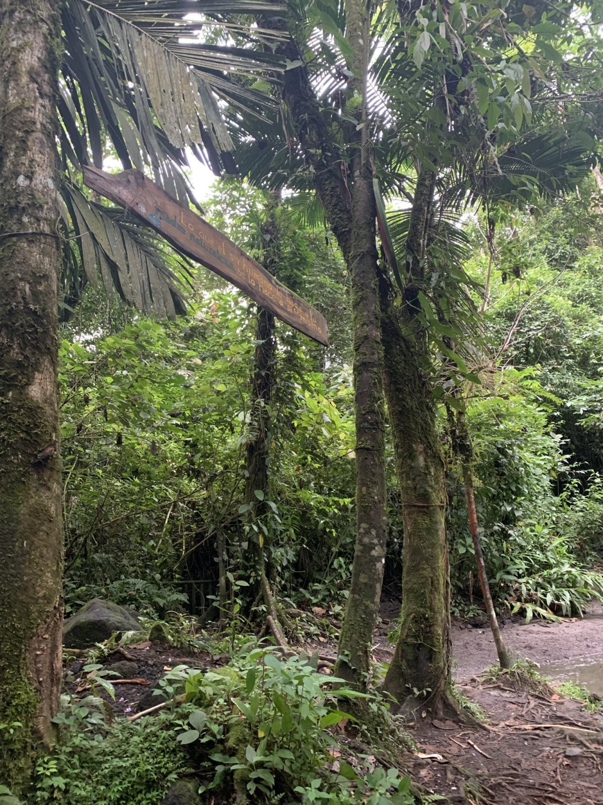 Free Natural Hot Springs