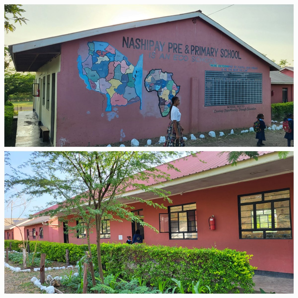  Nashypai School a docházka