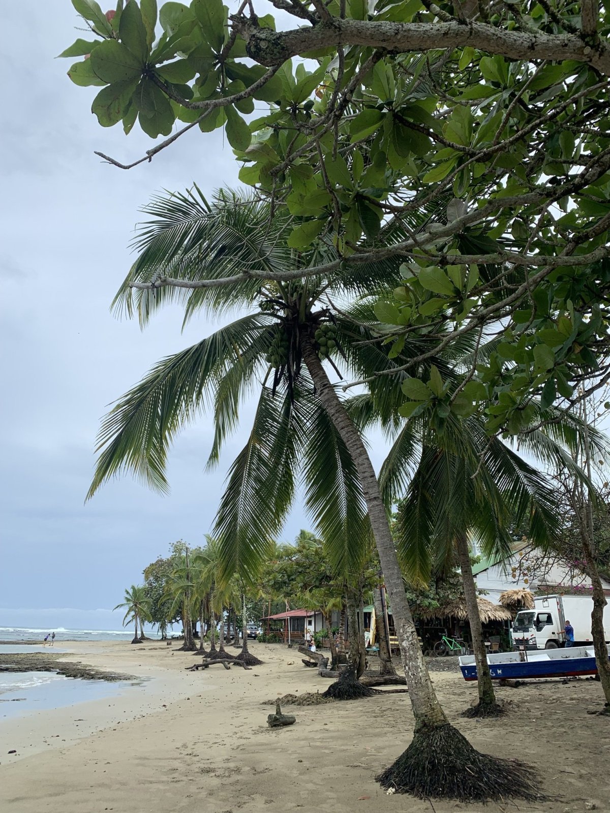 pláž u Puerto Viejo