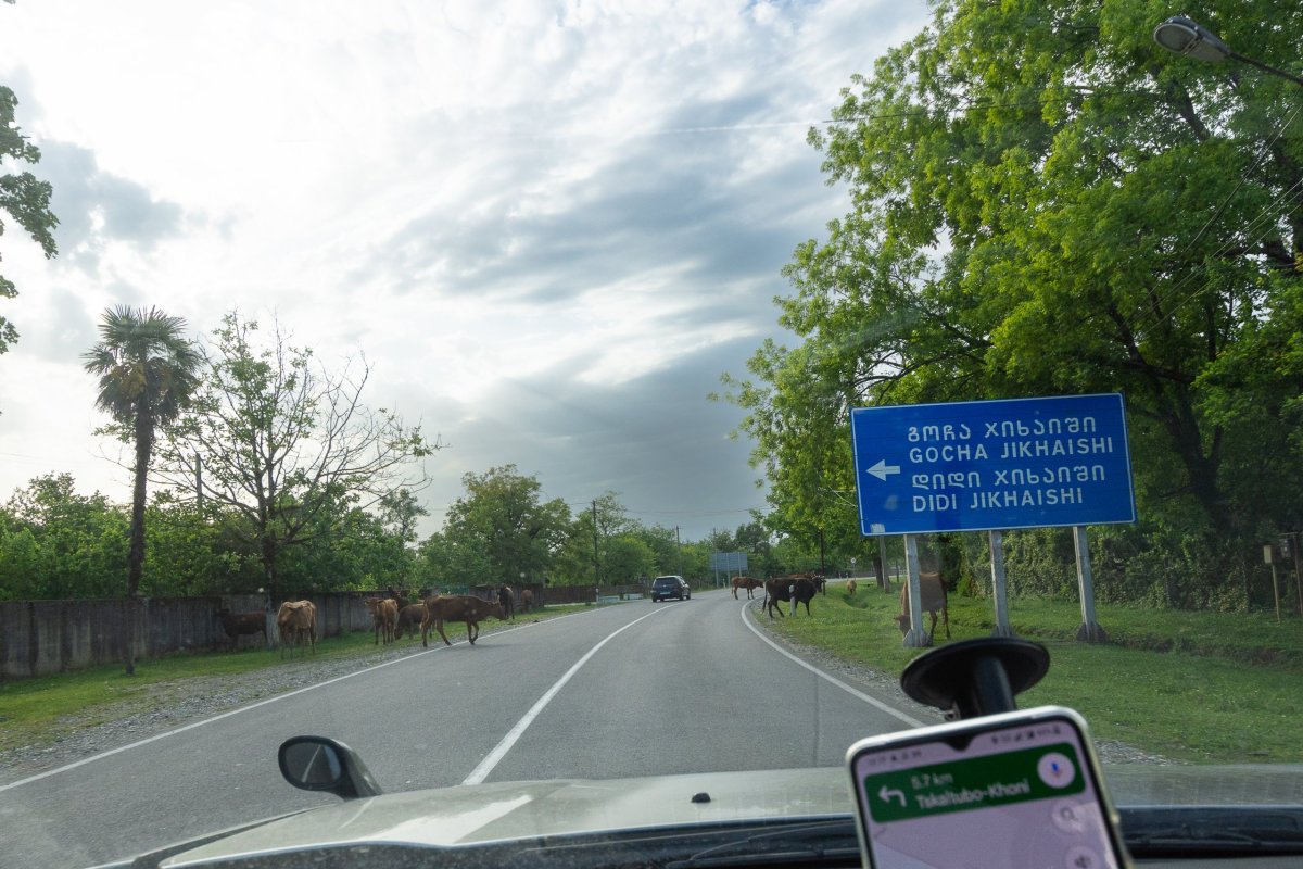Běžná situace na gruzínských silnicích - kdo má přednost?
