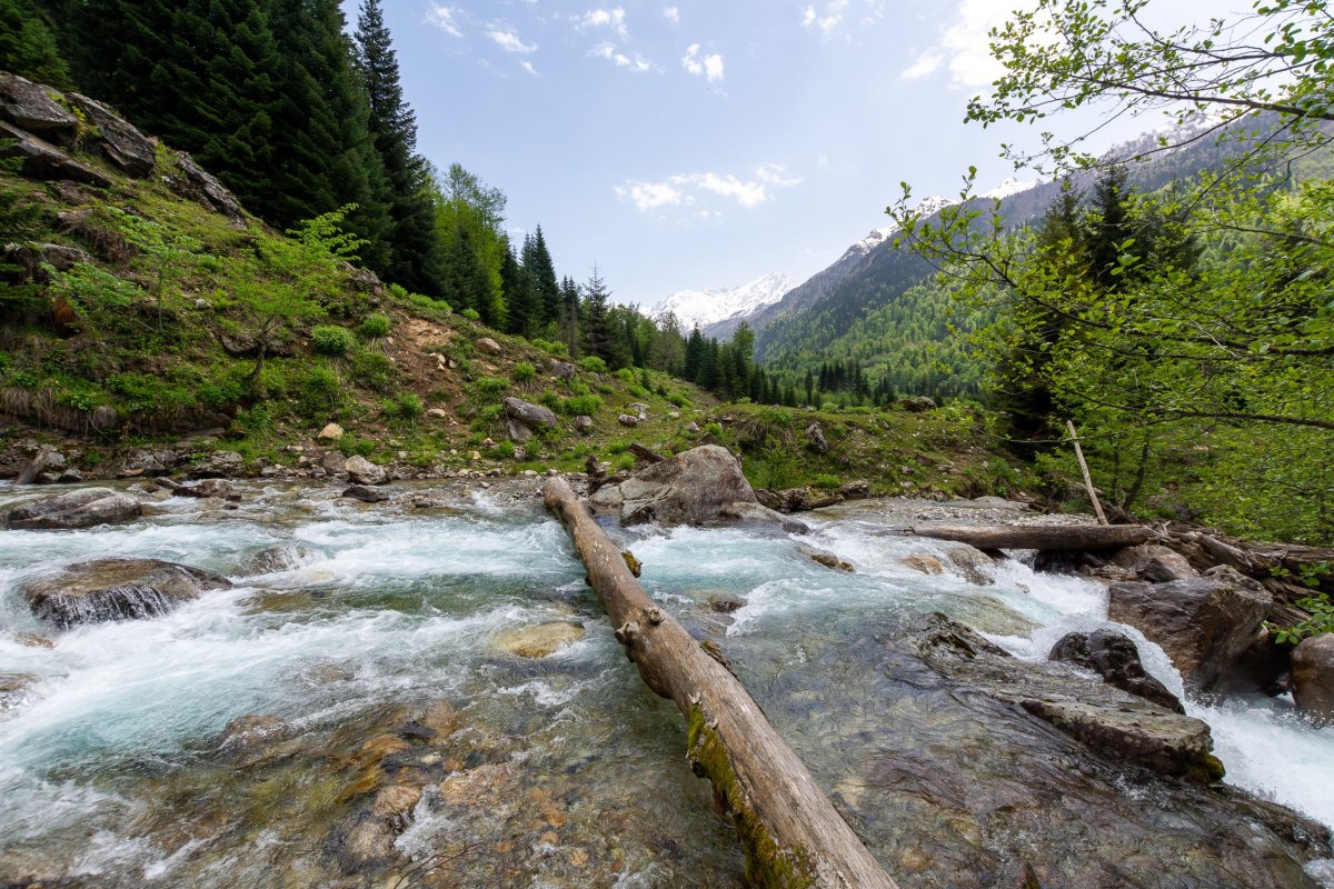 Cesta přes horskou říčku u Ruských hranic