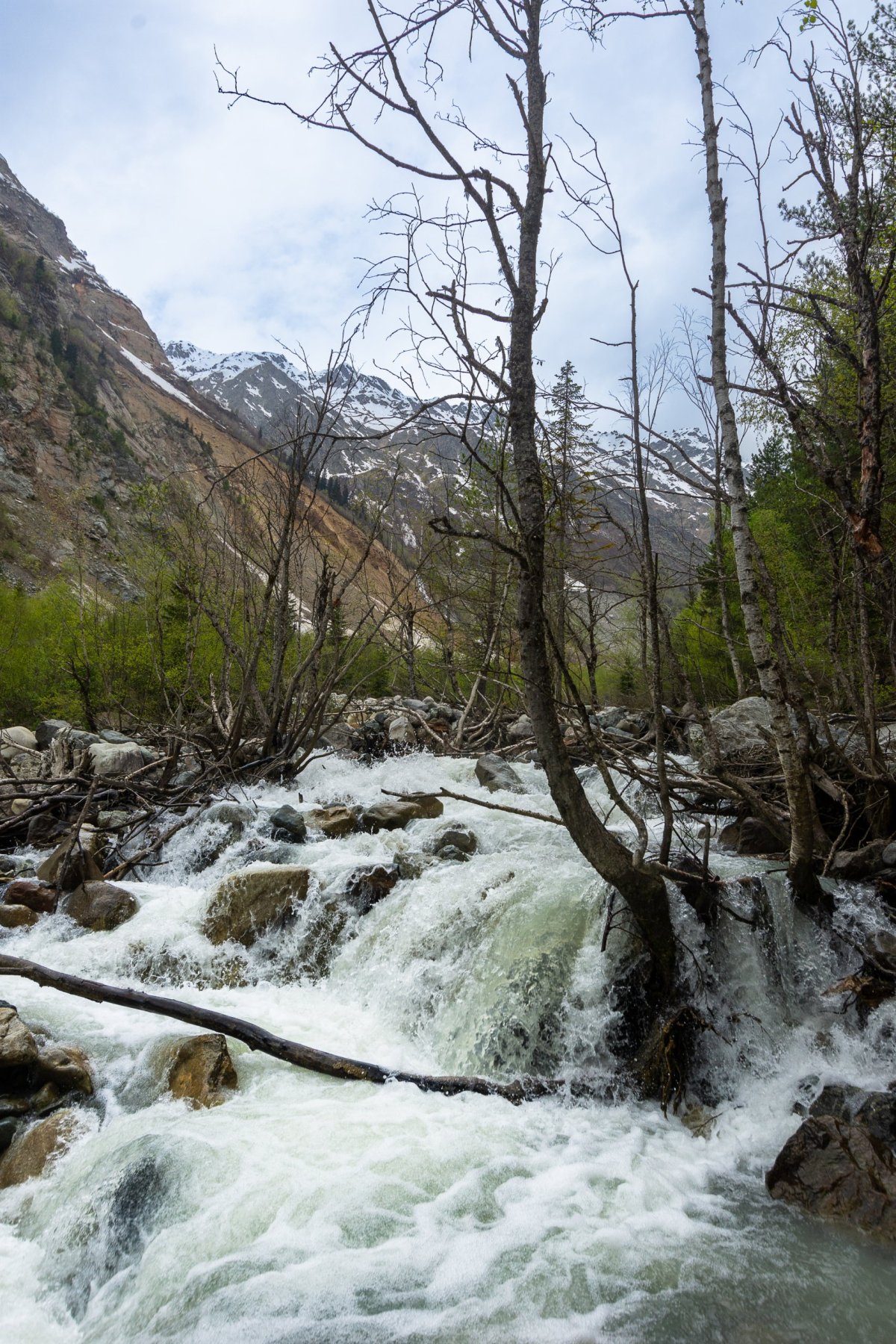 Jarní tání ledovce