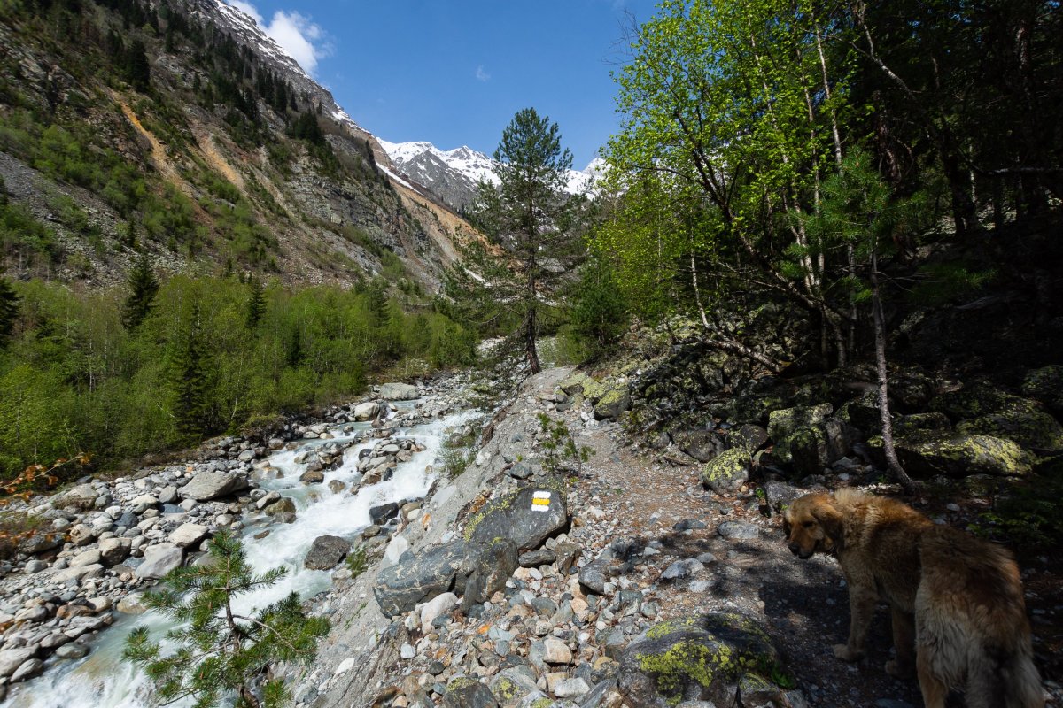 Cesta k ledovci Chalaadi s českým turistickým značením a doprovodným psem