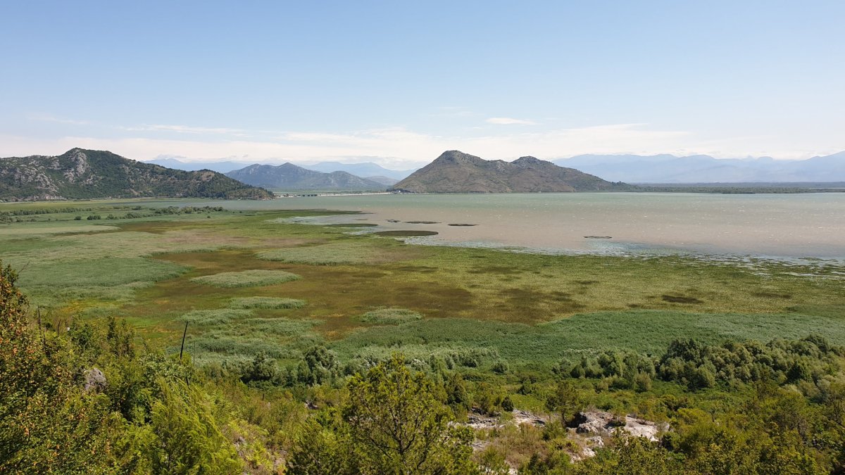 Skadarské jezero