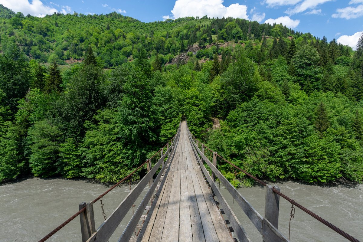 Lávka přes řeku Inguri