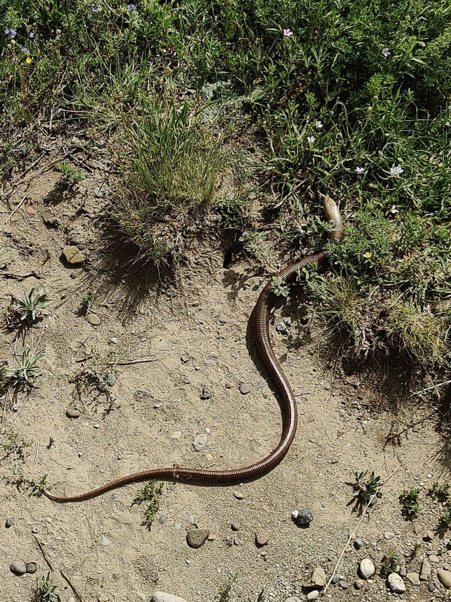 a jak vysoko umíte vyskočit vy?