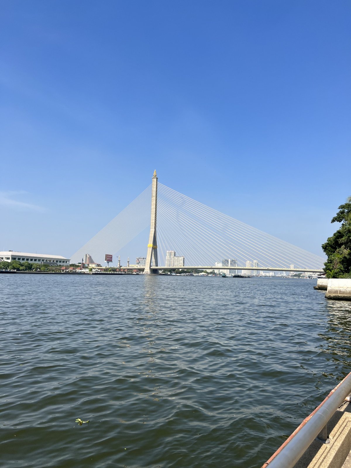 Rama VIII bridge.